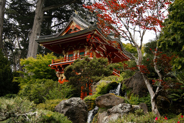 Japanese Tea Gardens - San Francisco California Golden Gate Park