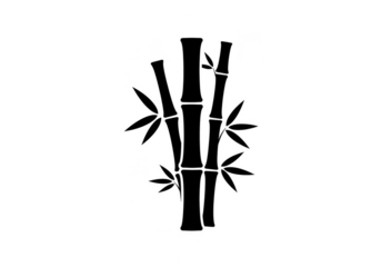 Abstract Tree Transparent Background Light Design Graphic Illustration