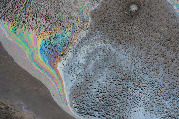 Colorful gasoline or oil spill creating rainbow sheen reflecting on wet asphalt road after rain, environmental pollution concept.