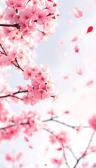 Obraz premium Stunning Pink Cherry Blossoms Falling A Breathtaking Springtime Scene of Delicate Petals and Branches