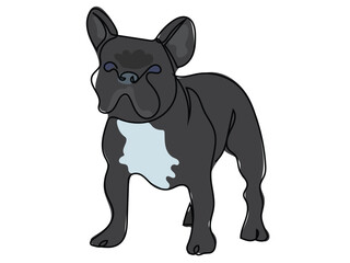 French bulldog in continuous line drawing style.