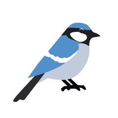 A simplified illustration of a blue tit bird with soft blue and white coloring. Great for wildlife, springtime, and nature-related artwork