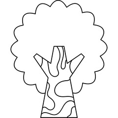 Explore the Beauty of Natural Forest Trees