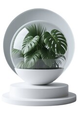 Tropical plants in glass dome on white pedestal isolated on white background
