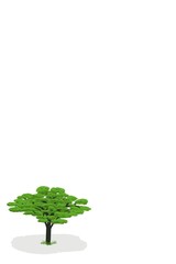 Obraz premium Shade tree on white background with copy space area