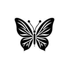 butterfly isolated on white