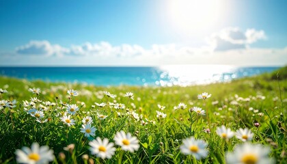 青い海と空が見える草原