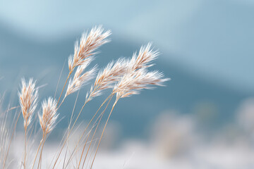 serene nature scene featuring delicate thin lines and soft shadows essence of tranquility