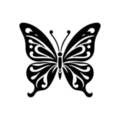 butterfly on white background