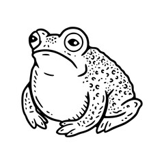 outline frog art for kids