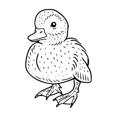 adorable duck hand-drawn vector art