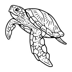 vintage sea turtle illustration