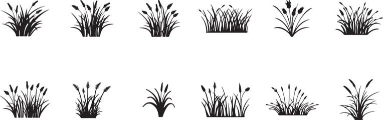Collection of grass and reed silhouettes, vector isolated botanical elements for nature, wetland, landscape design, black and white clipart.