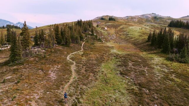 Drone tracks a cyclist riding uphill on a mountain trail at medium altitude in the Purcell Mountains, Golden, BC.