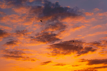 Spring sunset or sundowner view near Niederpoering, Isar, Oberpoering, Deggendorf, Bavaria, Germany