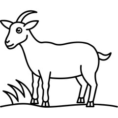 goat vector illustration