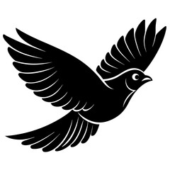dove of peace