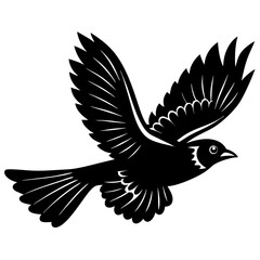 eagle vector illustration