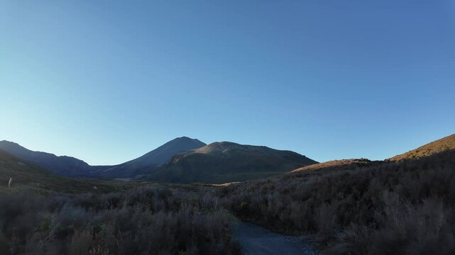 A peaceful forest scene at the end of the Tongariro Alpine Crossing in New Zealand. The video captures the lush greenery, soft light filtering through the trees, and the sense of tranquility as a hike