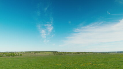 Vast, Open Green Fields Spread Out Under a Beautifully Clear, Expansive Blue Sky Above