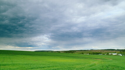 A Beautiful Lush Green Field with Grey Clouds Looming Heavily Overhead, Creating a Stunning View Time lapse.