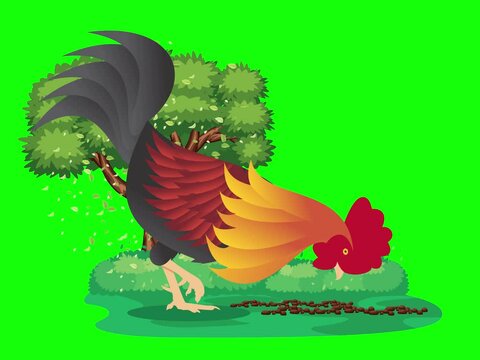 Animated rooster pecking food on the ground with a green screen background. Ideal for farming, animal, or nature-themed projects.