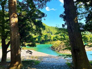 木の間から見る川