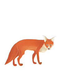 Fototapeta premium Hand-Drawn Red Fox Clipart – Forest Animal Illustration on White Background