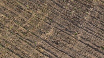 The aerial perspective offers the soil’s rugged surface after plowing, with clods and fresh...
