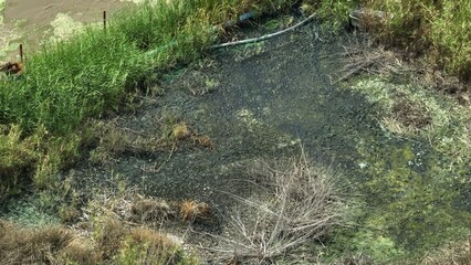 Aerial view reveals cracked, discolored earth with green and yellow hues, indicating severe...