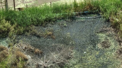 Aerial shot reveals cracked green and yellow earth with sparse vegetation, indicating severe chemical contamination from industrial discharge.
