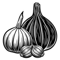 Black and white illustration of garlic bulbs