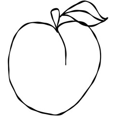 peach, fruit, vector, outline, hand drawn, peach fruit, peach outline, doodle, line art, sketch, transparent background, clipart, summer fruit, fresh, food, juicy, editable, illustration, organic, hea