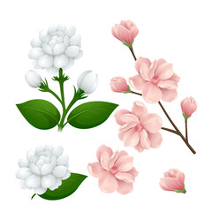 vector illustration of a pink rose