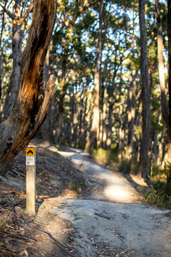 A sign post marks the way along a gravel walking track in amongst an open dry eucalyptus forest.