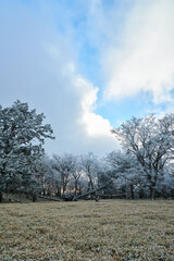 雪山の風景