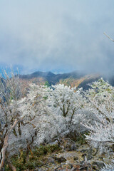 雪山の風景