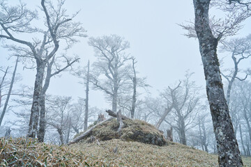 雪山の風景