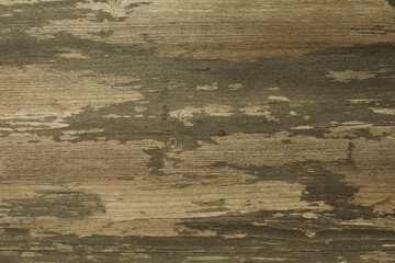 Decorative shabby color khaki plywood background, copy space.