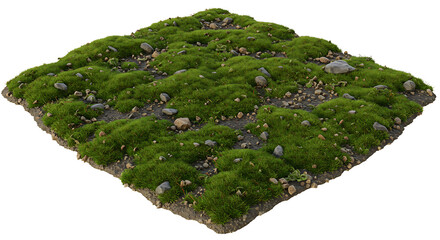 Isometric view of a grassy terrain patch with scattered rocks and soil