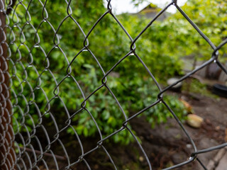 The grid fence with drops of water on it