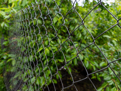 The grid fence with drops of water on it - Powered by Adobe
