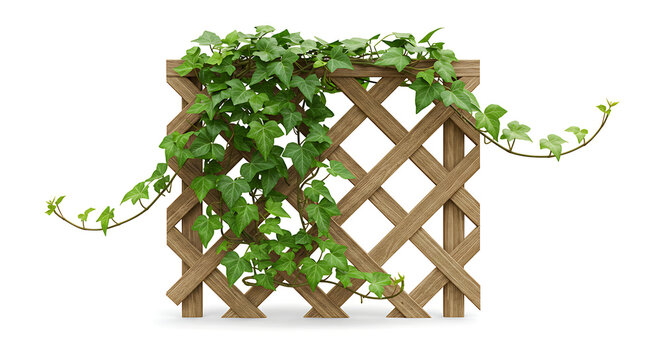 Lush green ivy cascading over a light brown wooden lattice trellis