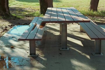 bench in the park in morning light