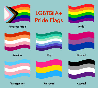 LGBTQIA+ Pride Flags Collection Lesbian Gay Bisexual Transgender Pansexual Asexual