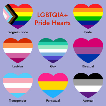LGBTQIA+  Pride Hearts Collection Lesbian Gay Bisexual Transgender Pansexual Asexual