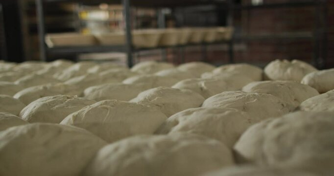 Animation of bread prepared for baking at bakery
