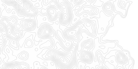 Abstract minimal The patter discovery vector topo map creative discovery White wave grid stripe line map topography. vector geographic contour mounted map background.	