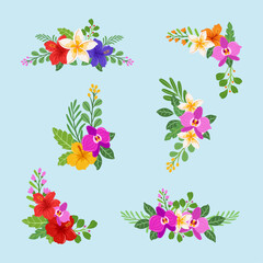 Tropical flower arrangement collection illustration