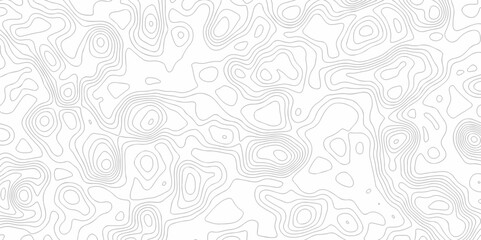 Abstract minimal The patter discovery vector topo map creative discovery White wave grid stripe line map topography. vector geographic contour mounted map background.	